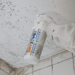 DRYZONE 100 Mould Killer Spray Application