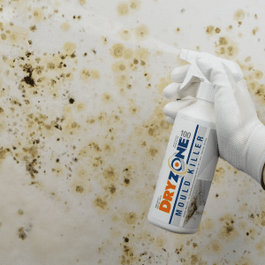 DRYZONE 100 Mould Killer Spray Application on wall