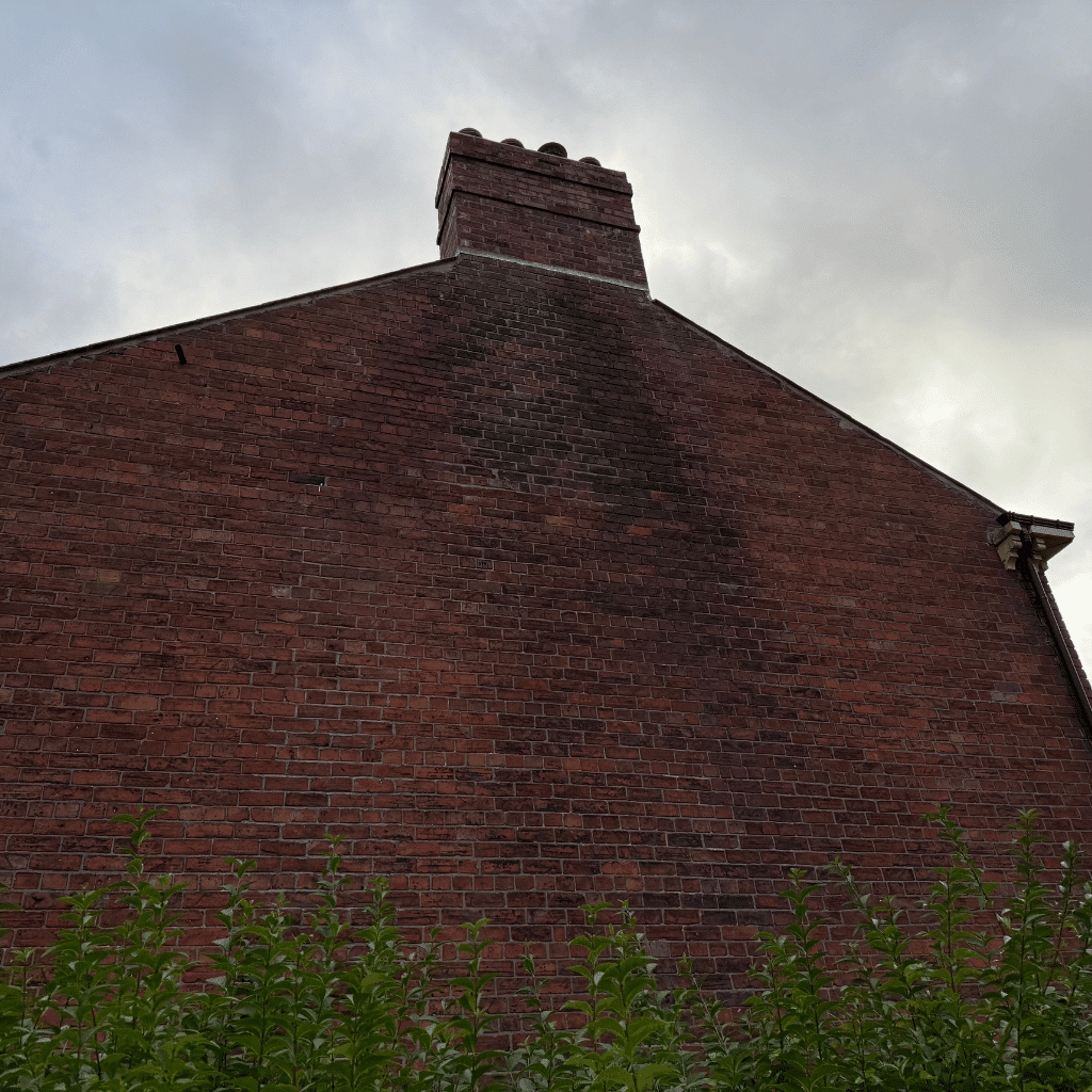 Penetrating Damp On A Belfast Property